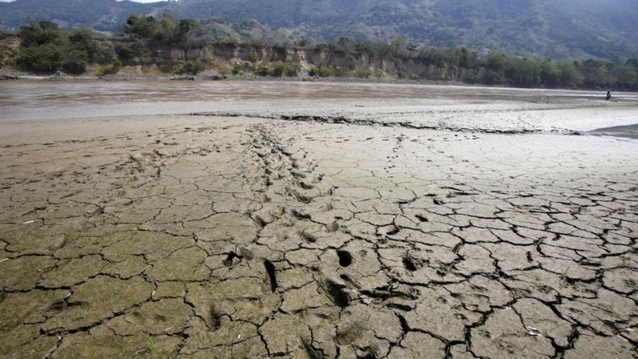 Sequía Colombia. Foto: Reuters. 