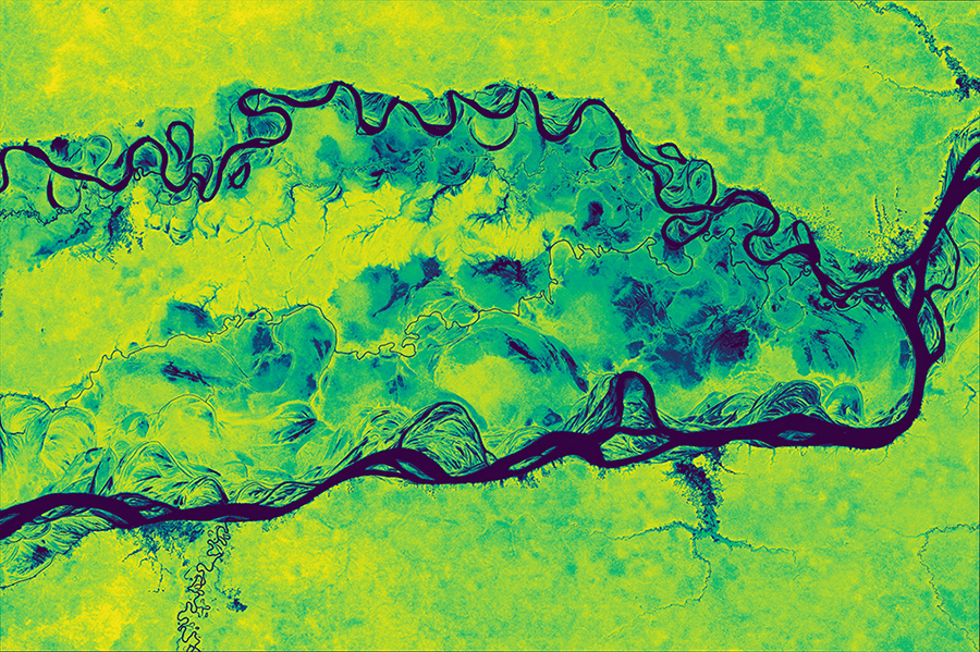 Aboveground Carbon Density in Amazonas State • Brazil •  March 4, 2025 • Planetary Variables