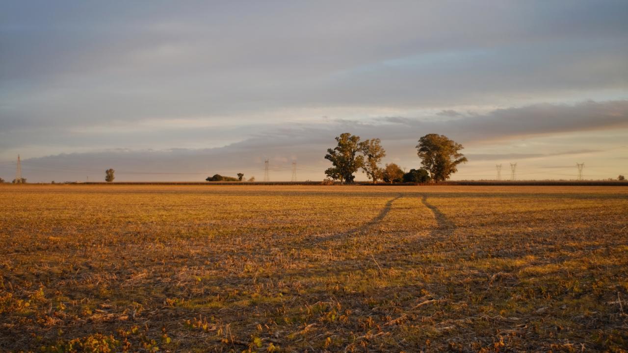 Campo de cosecha en Argentina