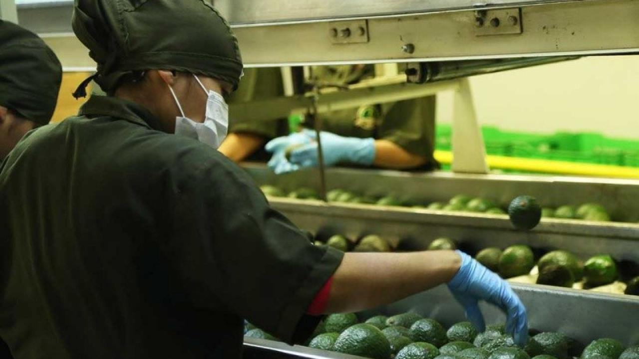 Alimentos en México foto Excelsior