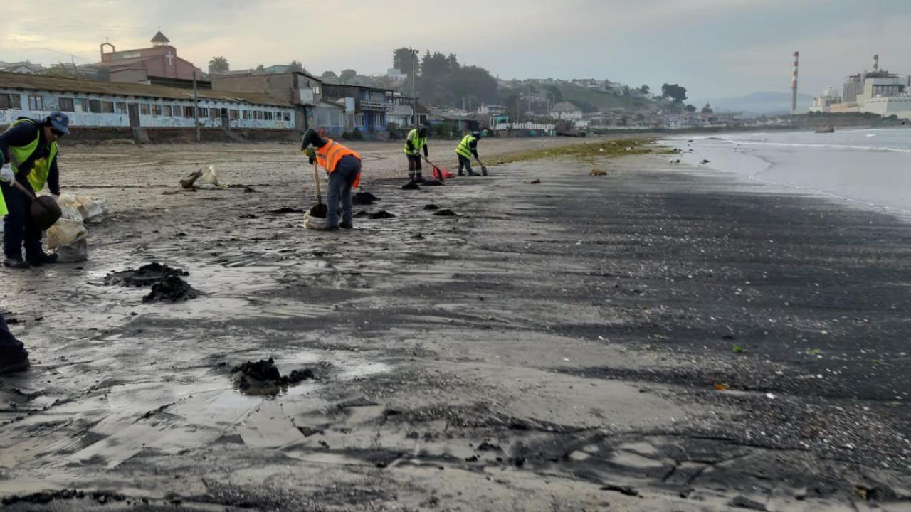 personas limpiando una playa