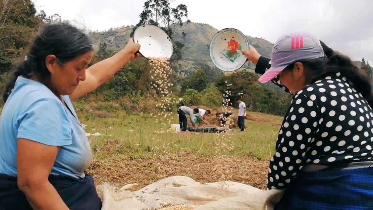 Mujeres en el campo