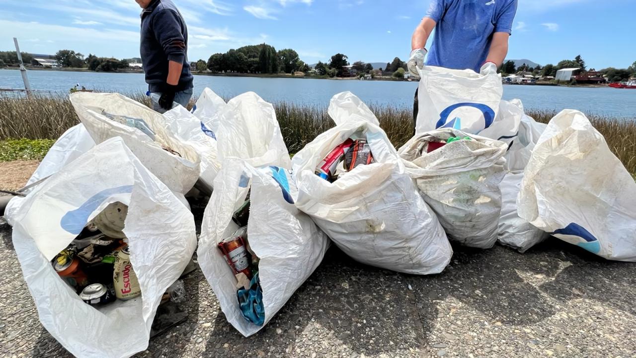 Recogiendo basura, foto Kuntsmann