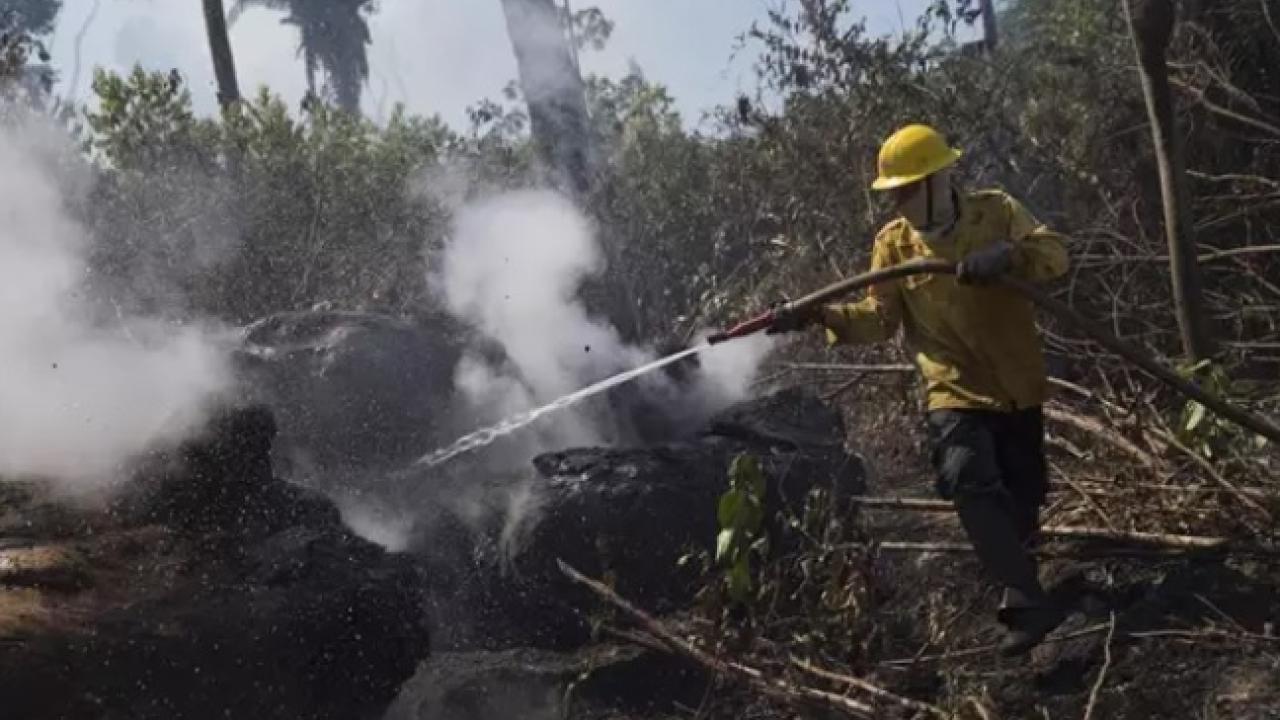 Foto incendios forestales amazonia, foto Europaress