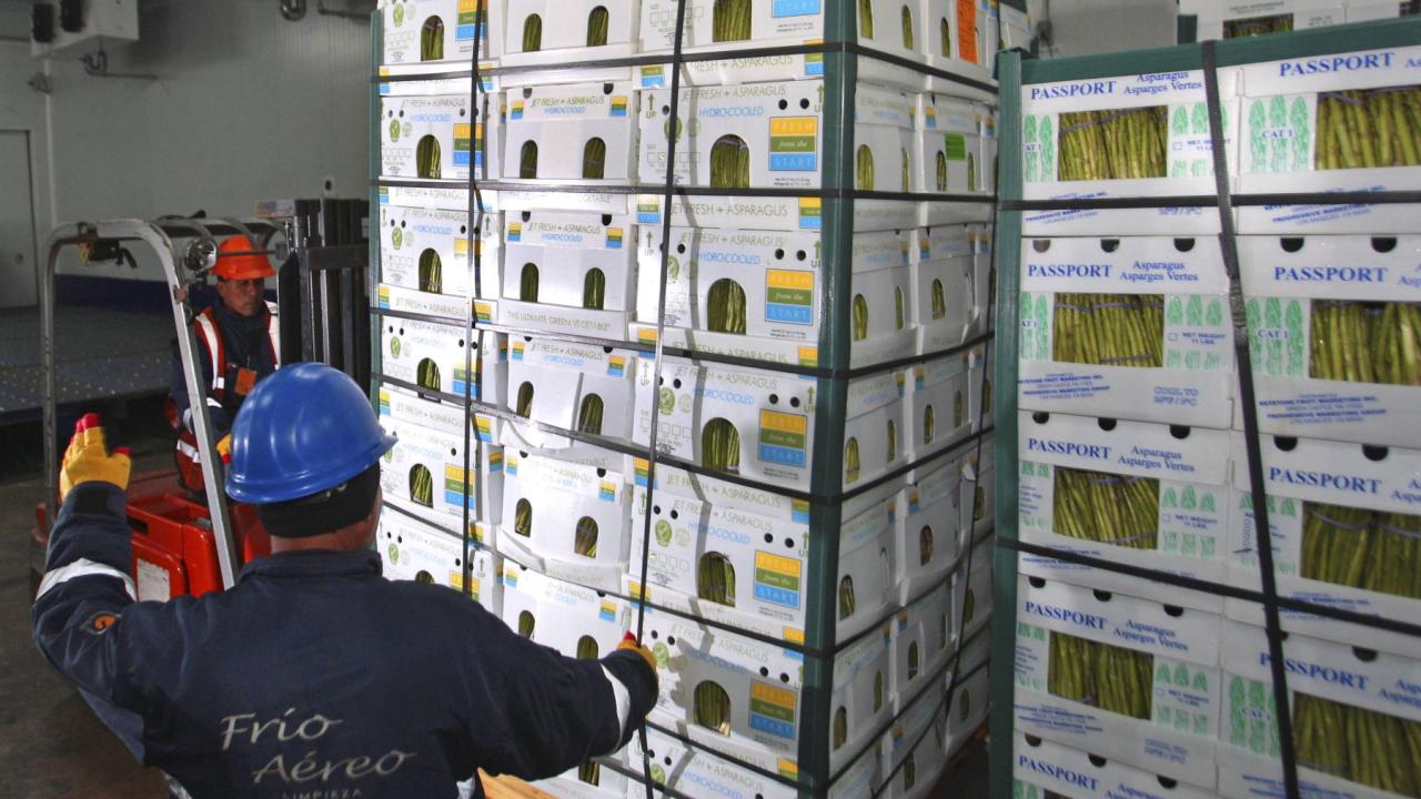 Agroexportaciones peruanas, foto Agencia Andina