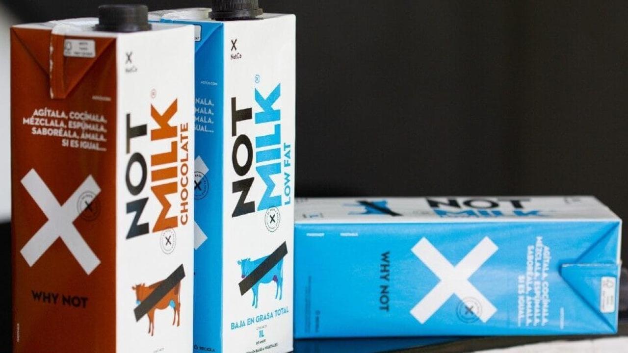 NotMilk, Chile. Foto: BioBioChile.