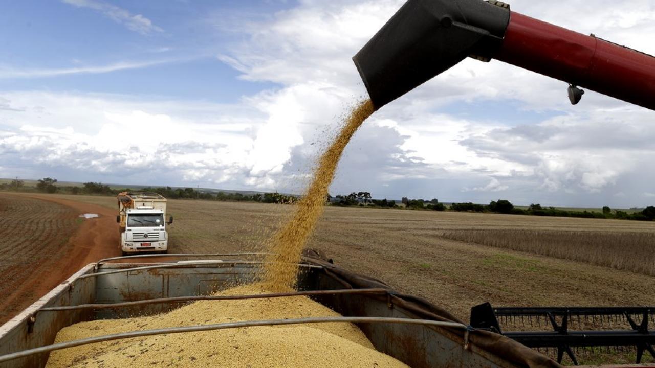 cosecha de soya en Brasil, foto Xinhua