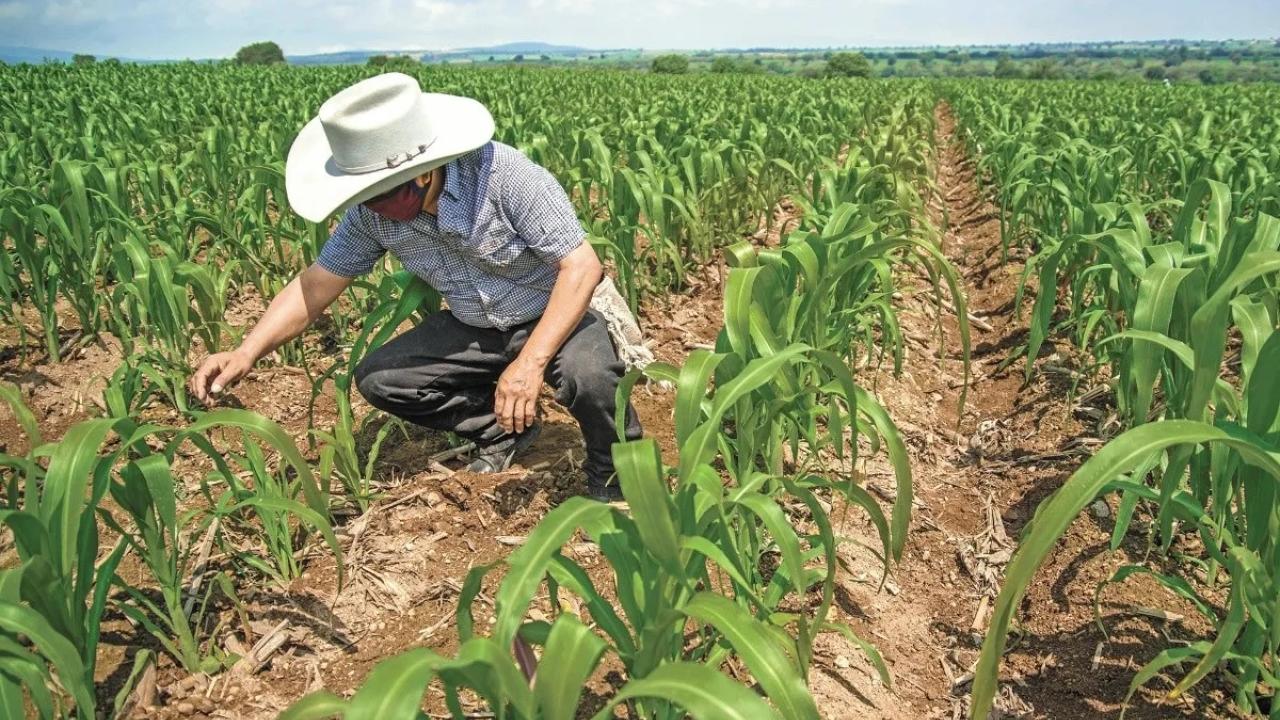 Fuente: Archivo de El Economista