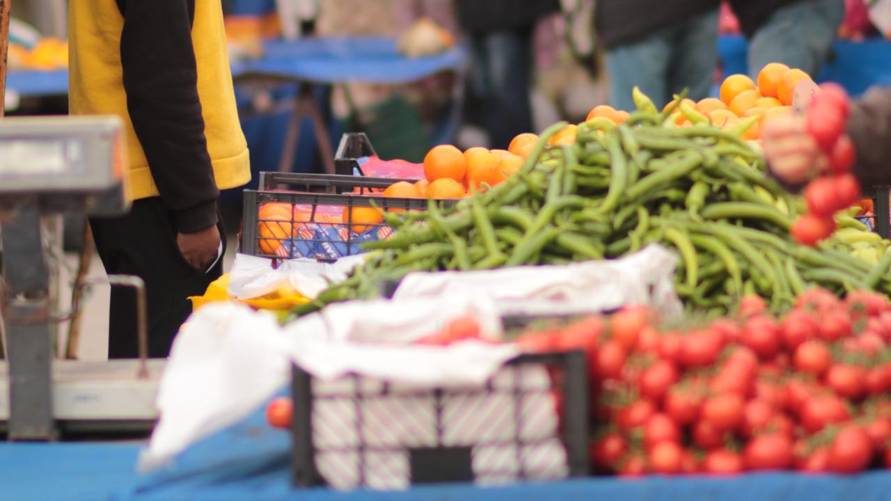 Insumos agrícolas. Foto: Pexels. 