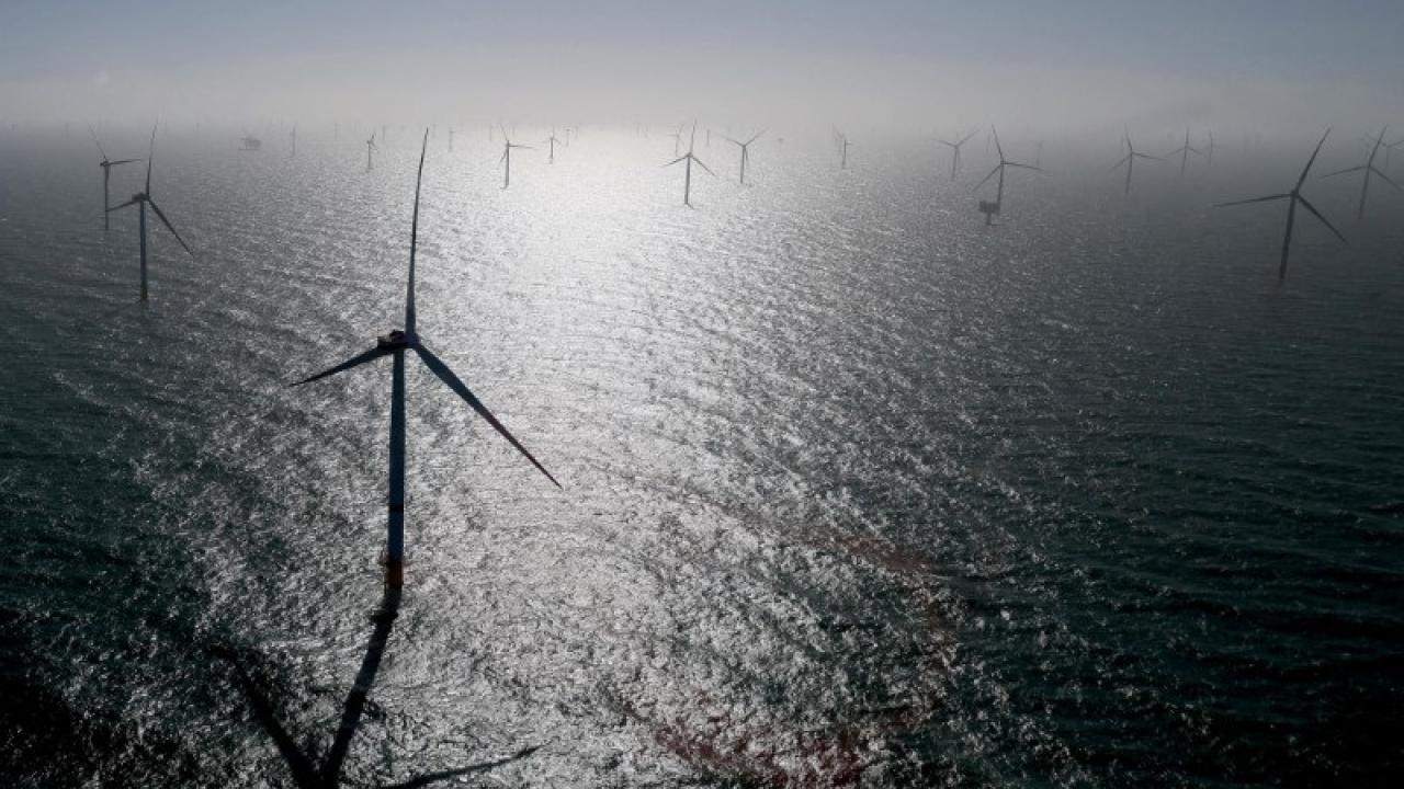foto Reuters energía eólica marina Petrobras