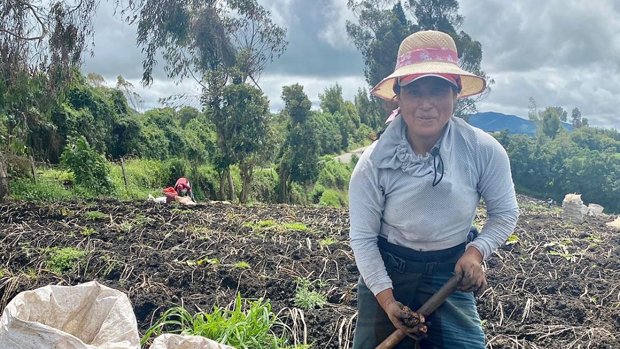 Mujer Cosecha