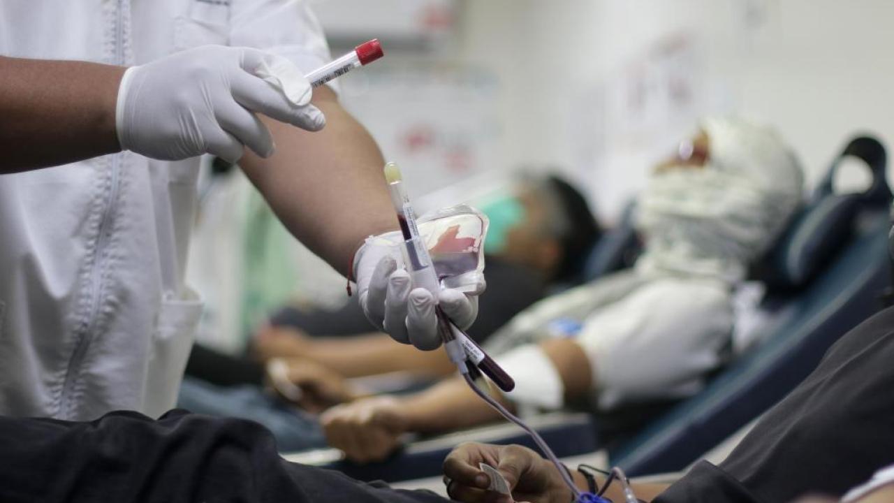 Salud. Foto: Xinhua.