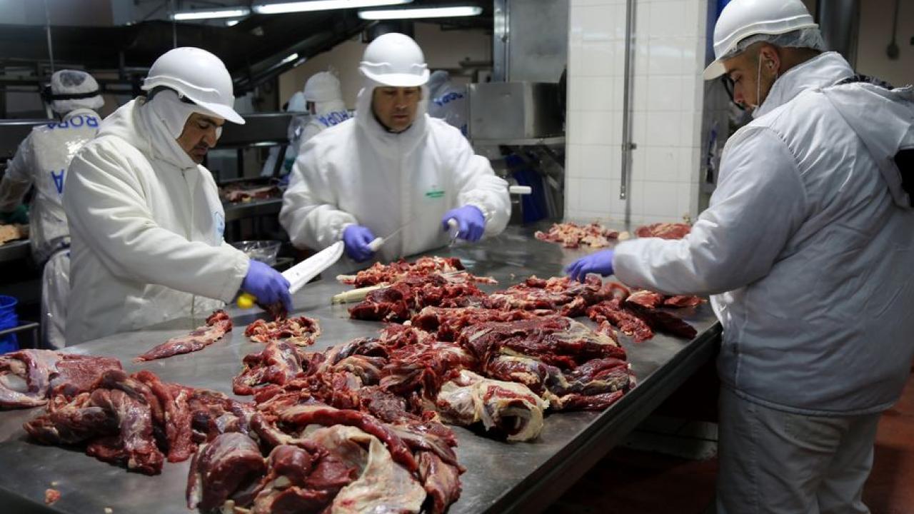 Carne argentina. Foto: Xinhua.