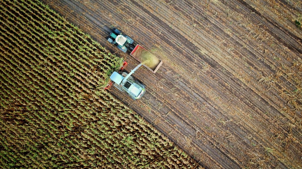 Agricultura. Foto: Unsplash.