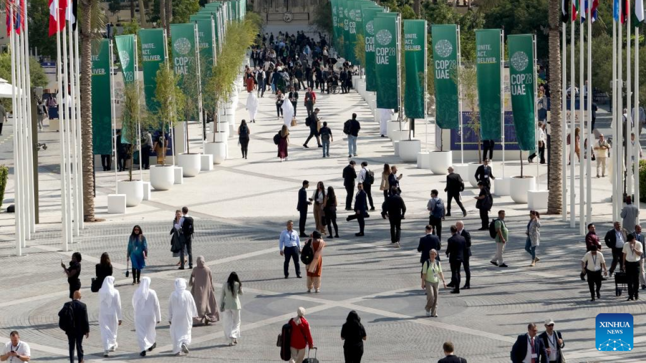 COP28. Foto: Xinhua. 