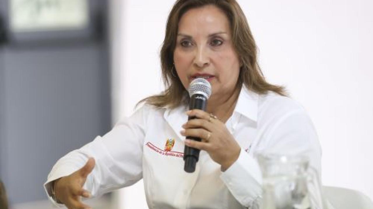 Dina Boluarte, Andina