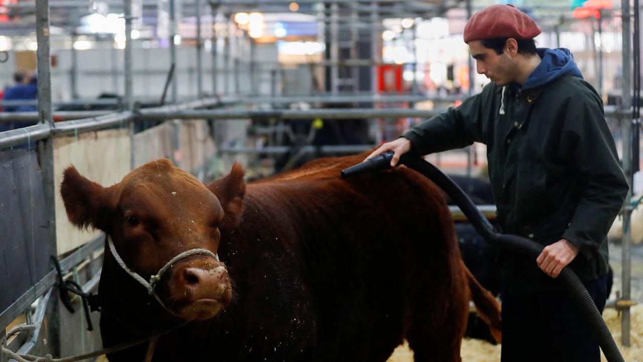 Carne bovina. Foto: Reuters. 