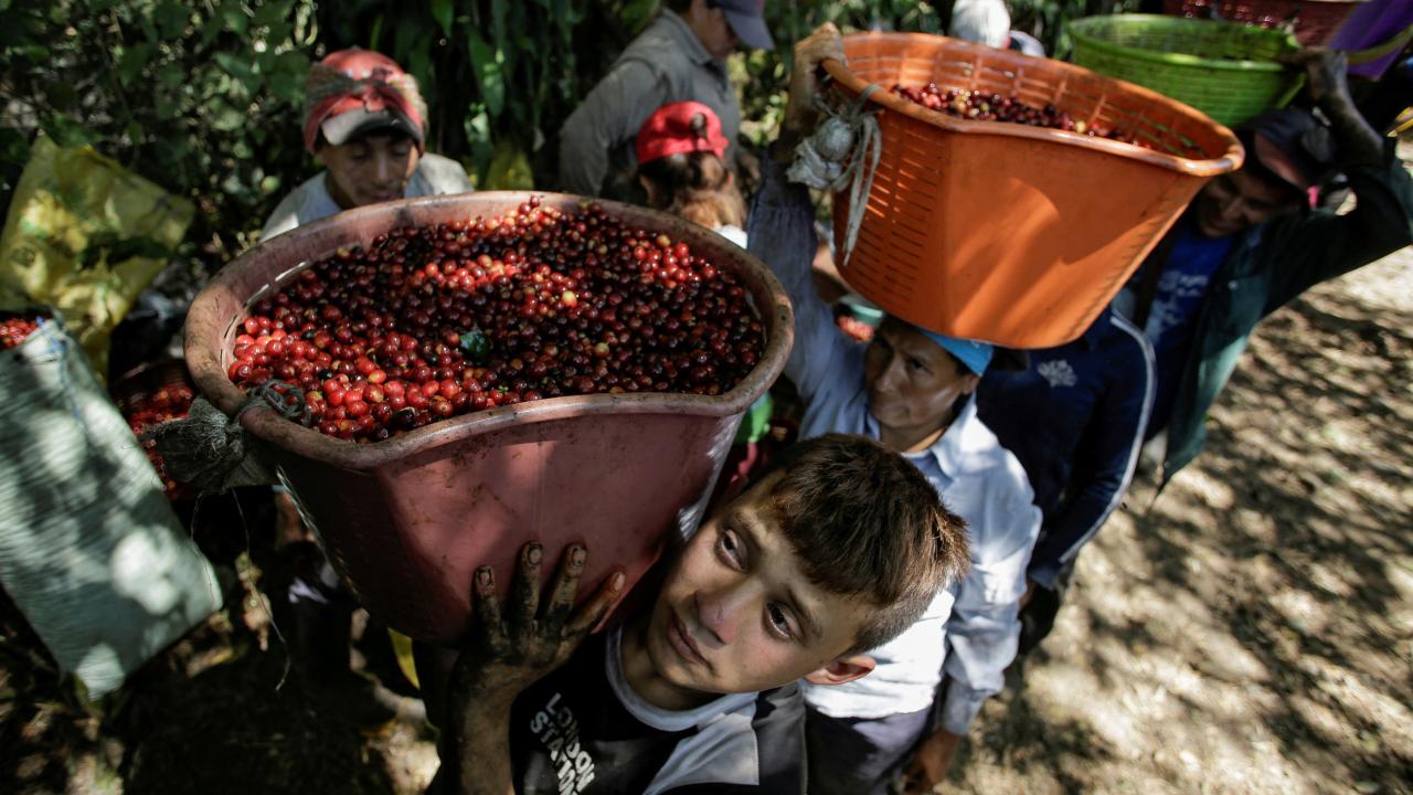 Café brasileño. Foto: Reuters.