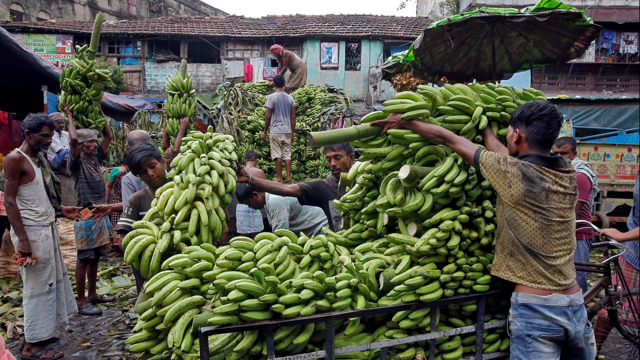 Plátano. Foto: Reuters. 