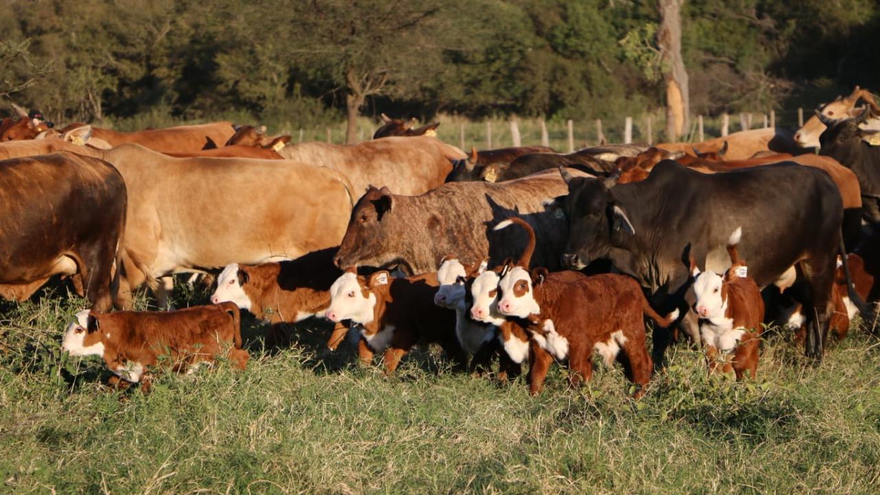 foto Corral del Chaco