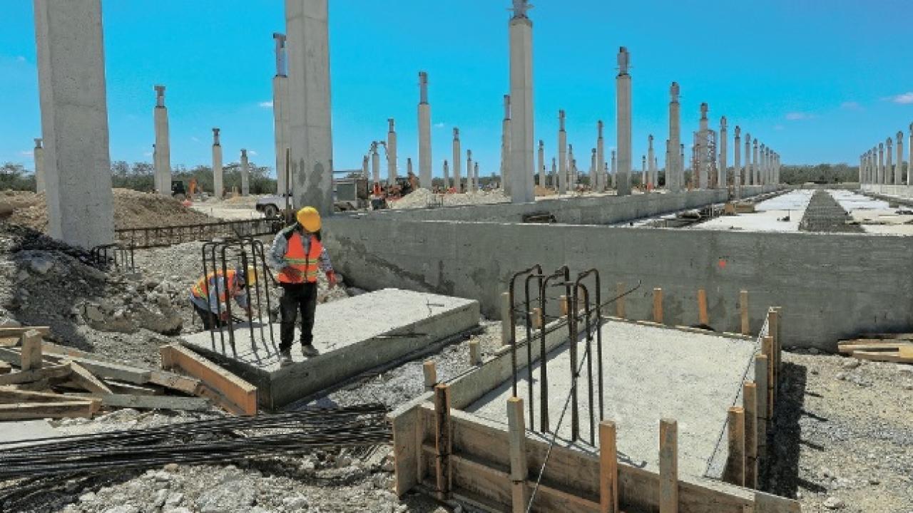 Crédito foto El Economista
