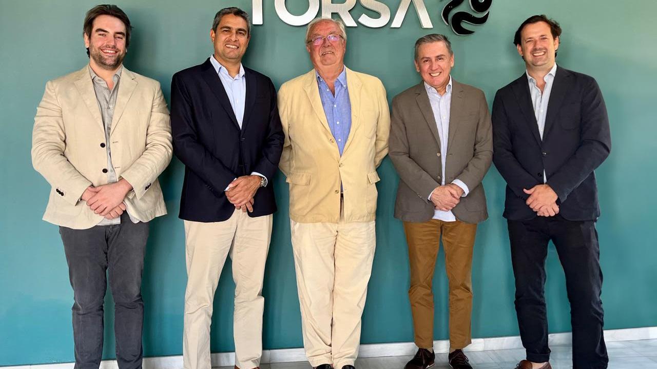 Fuente: Torsa