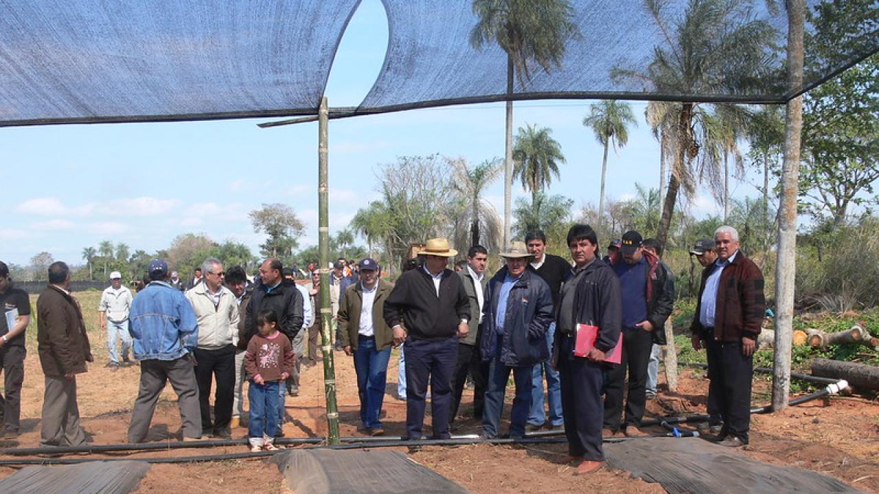 crédito foto Ministerio de Agricultura y Ganadería Paraguay, derechos reservados