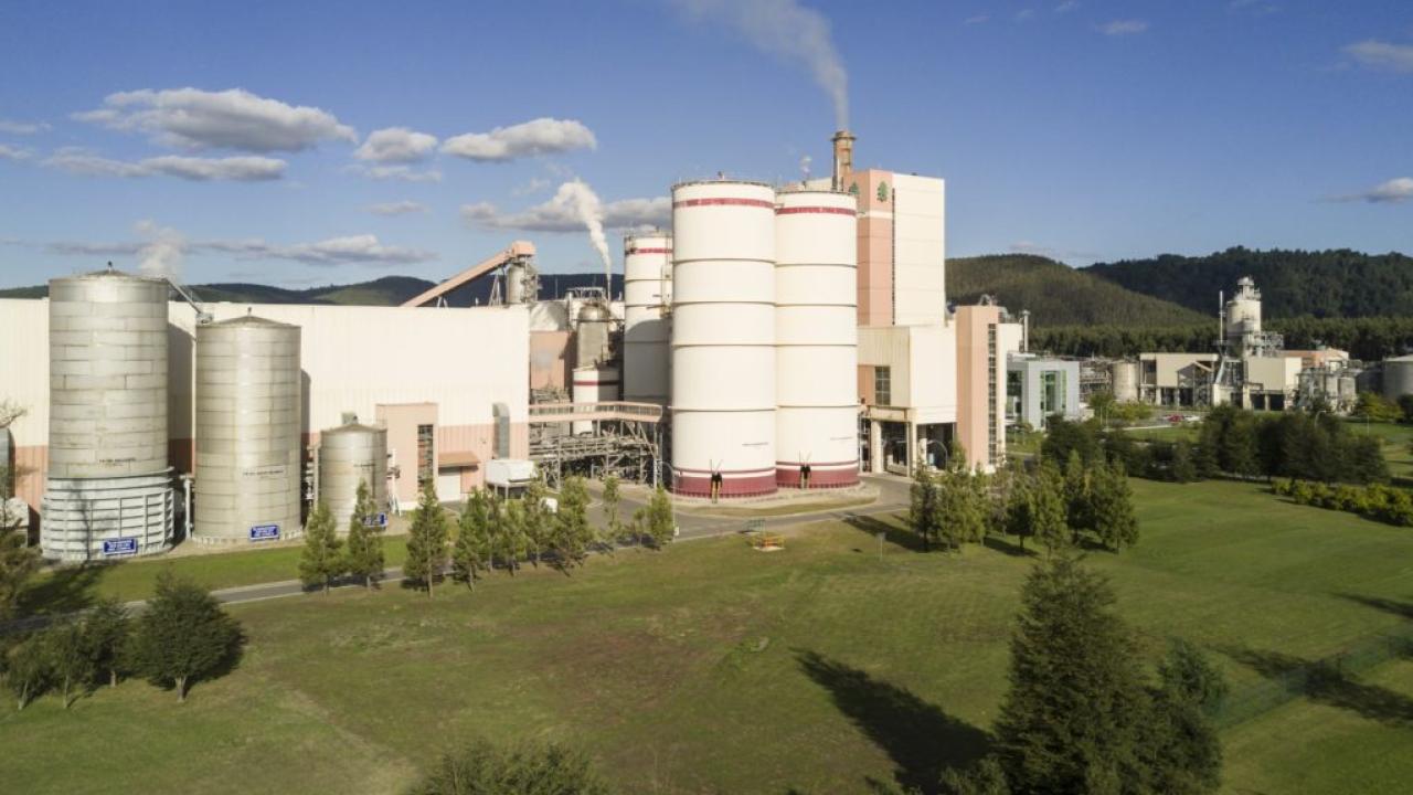 Crédito foto web Arauco forestal
