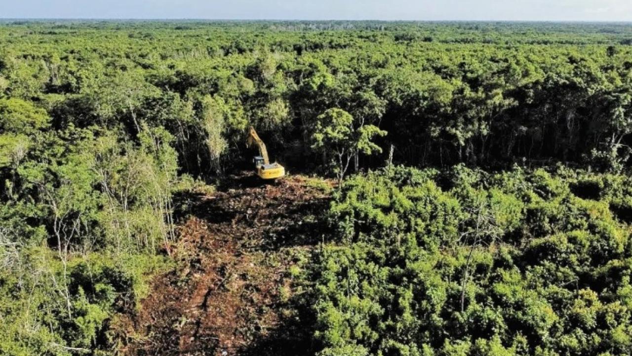 Gobierno mexicano autoriza Tramo 6 del Tren Maya sin estudios geológicos