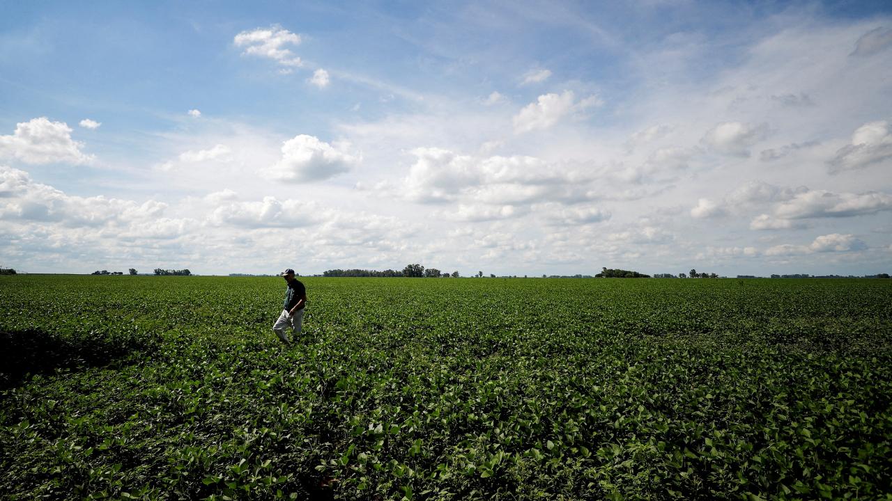 Argentina evalúa restablecer tipo de cambio especial para productores de soja Argentina evalúa restablecer tipo de cambio especial para productores de soja
