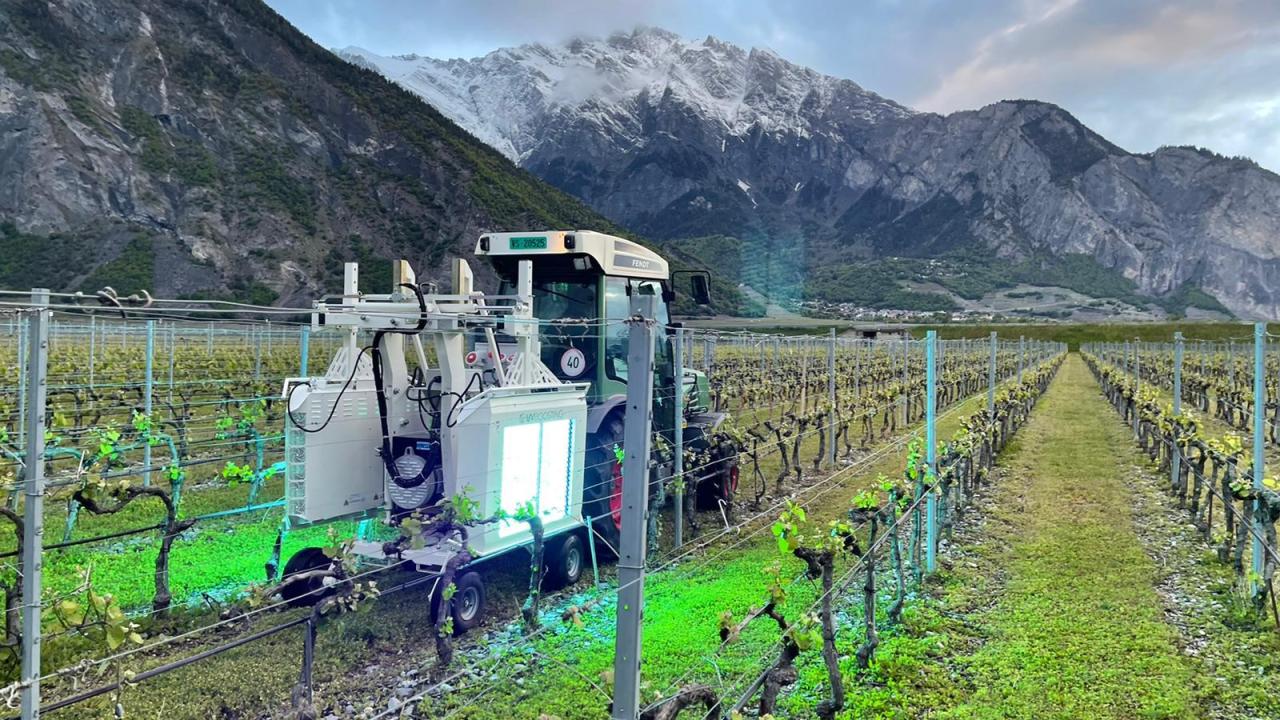 Chilena Partner proyecta cerrar 2022 con un crecimiento de 30% en sus ventas Chilena Partner proyecta cerrar 2022 con un crecimiento de 30% en sus ventas