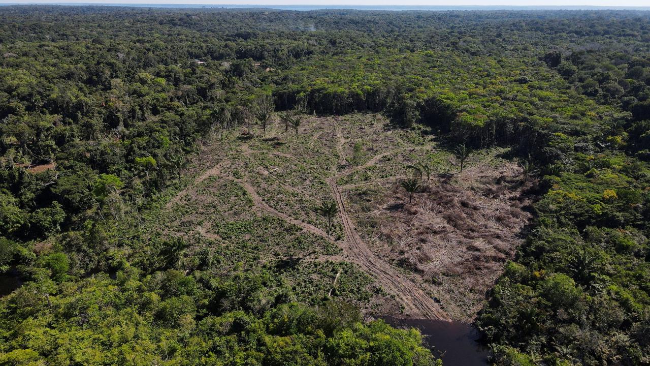 EE.UU. quiere sancionar a deforestadores de Brasil, endureciendo la lucha contra el cambio climático EE.UU. quiere sancionar a deforestadores de Brasil, endureciendo la lucha contra el cambio climático