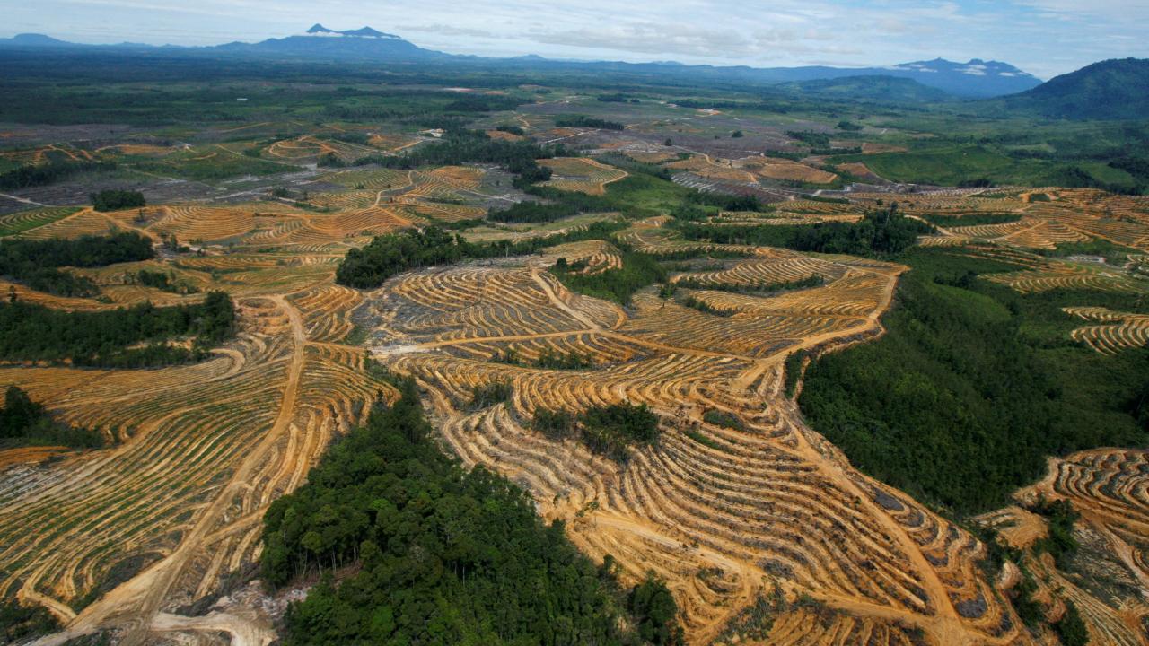 La UE negocia un acuerdo para parar la importación de productos ligados a la deforestación