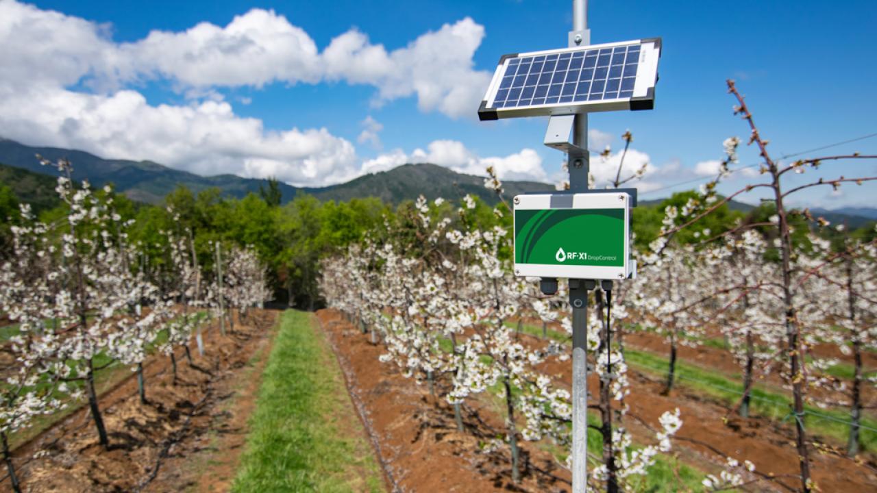 Agtech Chilena WiseConn levanta capital con Morningside Group