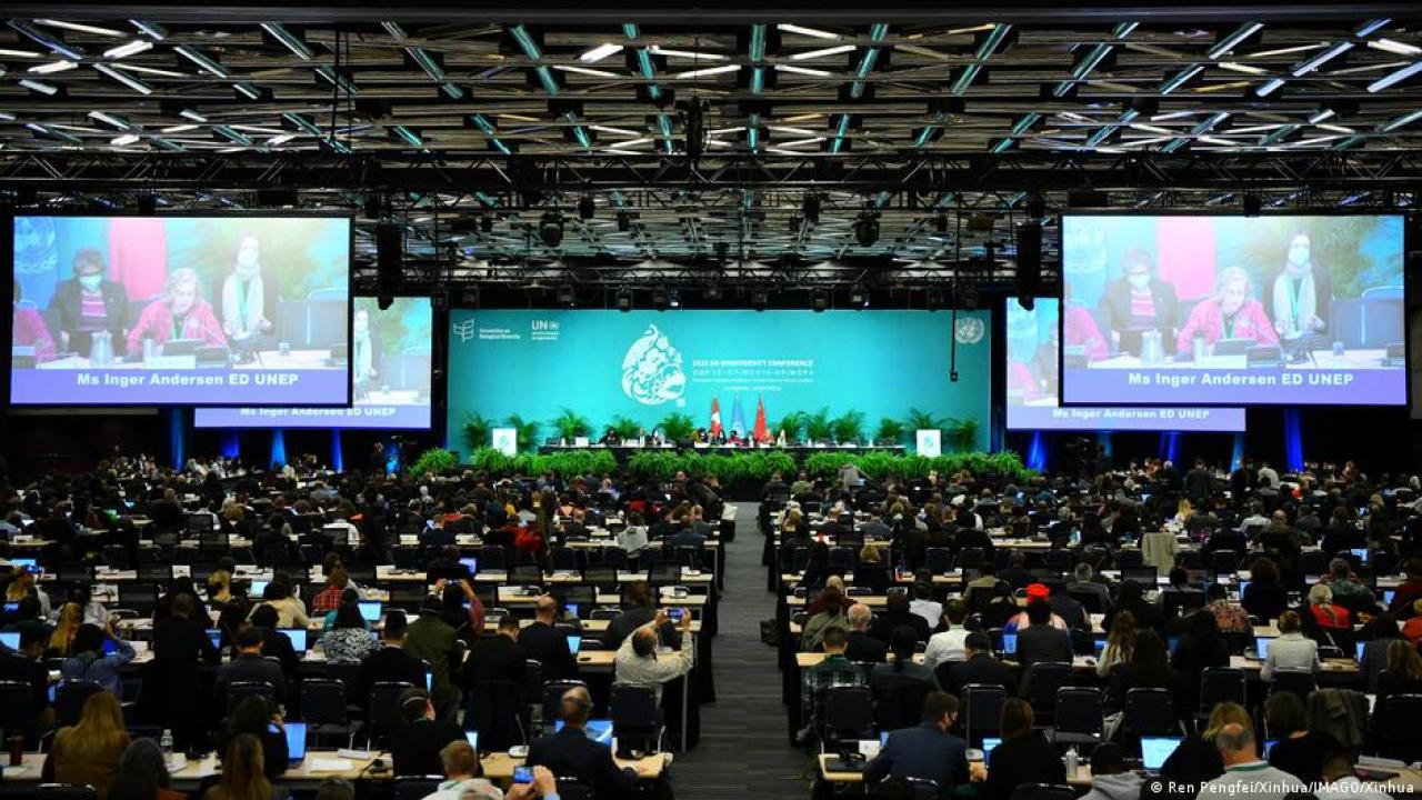 Alcanzan acuerdo histórico sobre biodiversidad en COP15 de Montreal