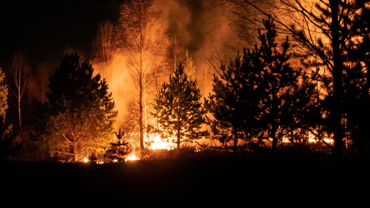 Chile decreta Estado de Excepción Constitucional por incendios en Viña del Mar