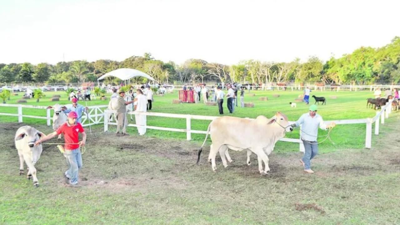Paraguay registra récord en exportaciones de carne bovina en 2022 Paraguay registra récord en exportaciones de carne bovina en 2022
