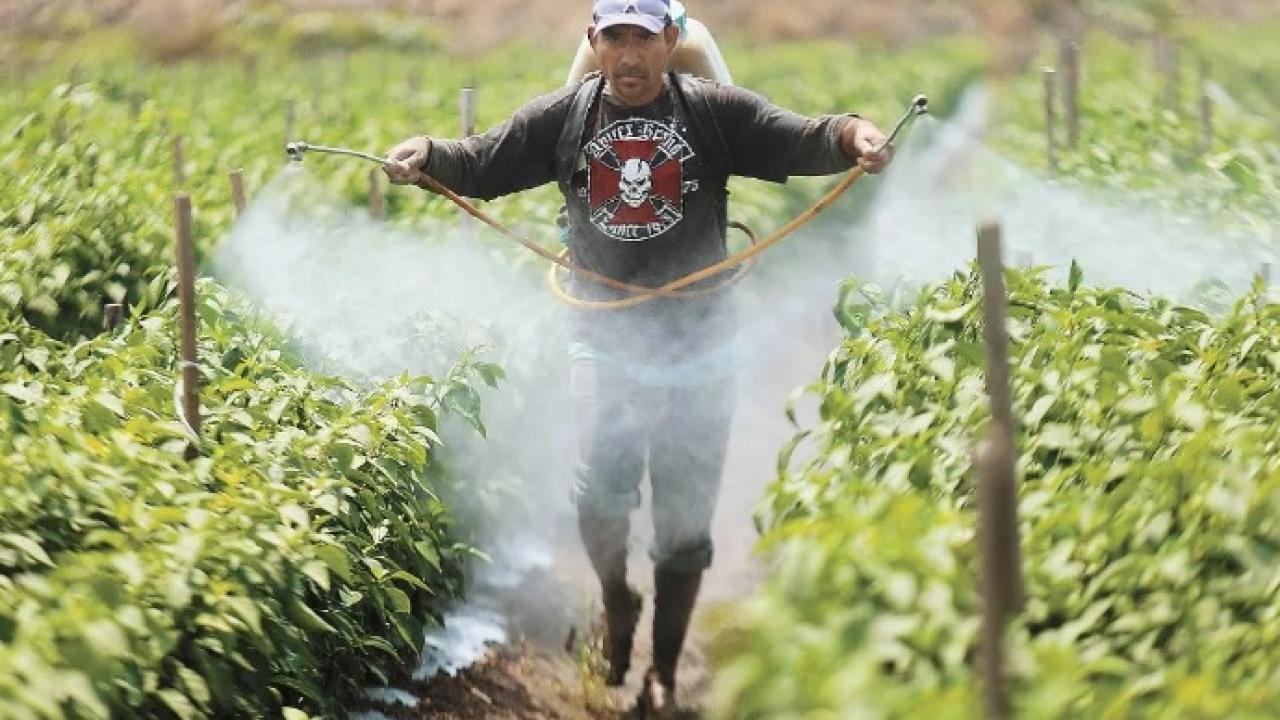 Mexicanos, entre los trabajadores más maltratados en Canadá Mexicanos, entre los trabajadores más maltratados en Canadá