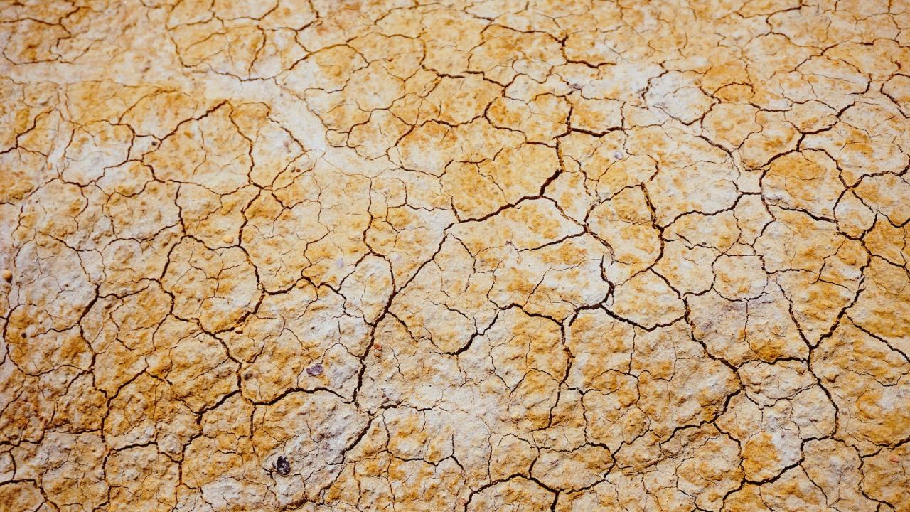 Casi el 55% del territorio argentino se encuentra bajo condición de sequía