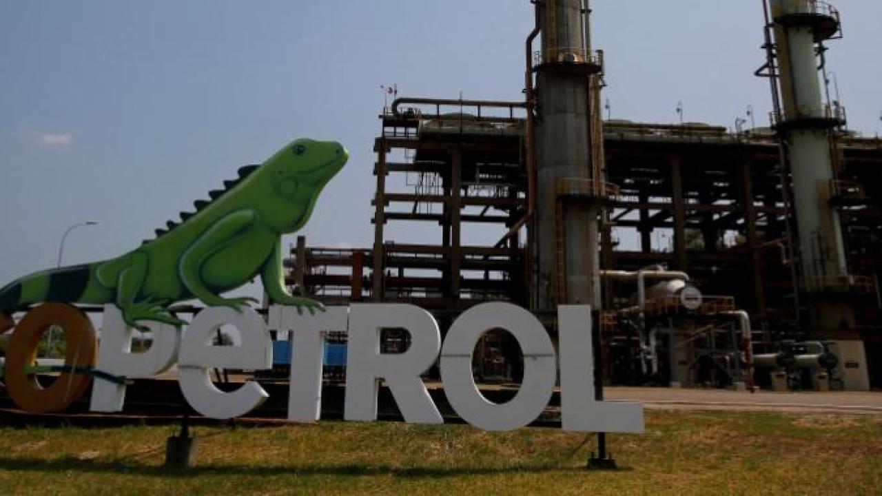 Construirán planta de biomasa que generará energía verde para Ecopetrol Construirán planta de biomasa que generará energía verde para Ecopetrol