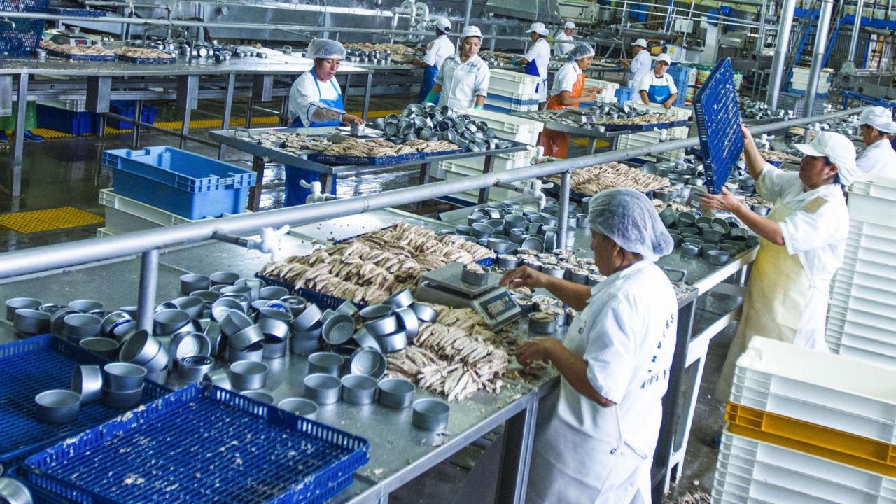 Perú tiene potencial de clústeres productivos para desarrollarse Perú tiene potencial de clústeres productivos para desarrollarse