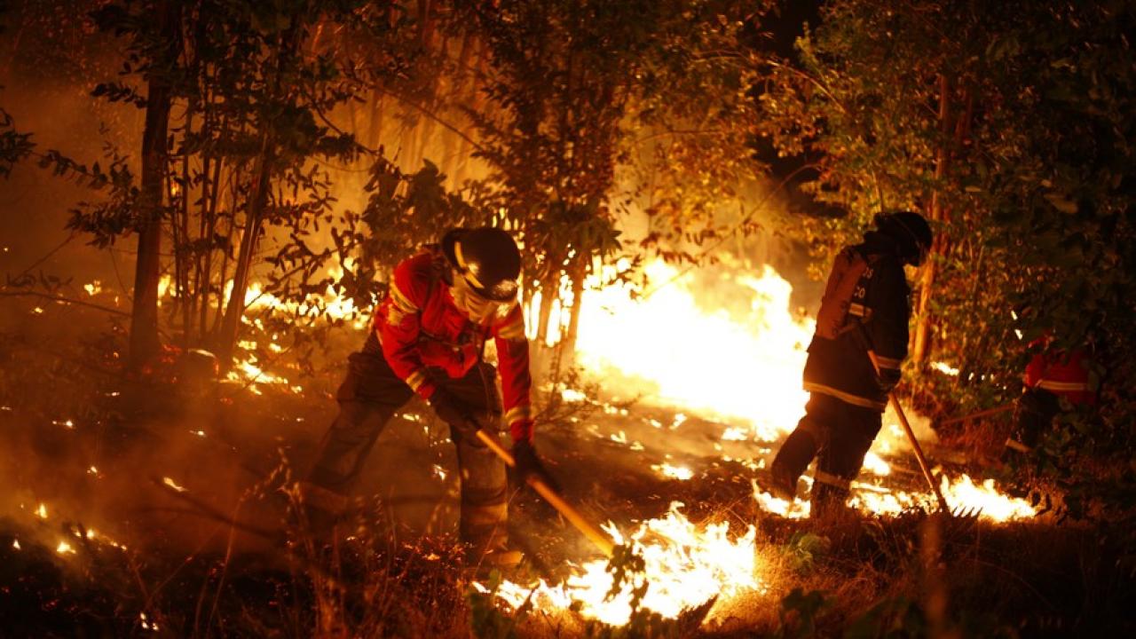 Ocho personas investigadas en Chile por responsabilidad en incendios forestales