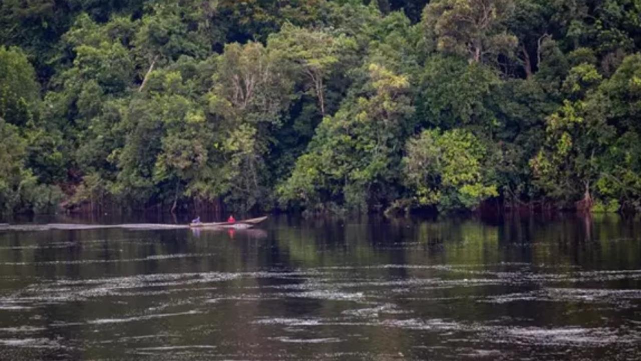 Amazonia brasileña inicia combate contra minería ilegal Amazonia brasileña inicia combate contra minería ilegal
