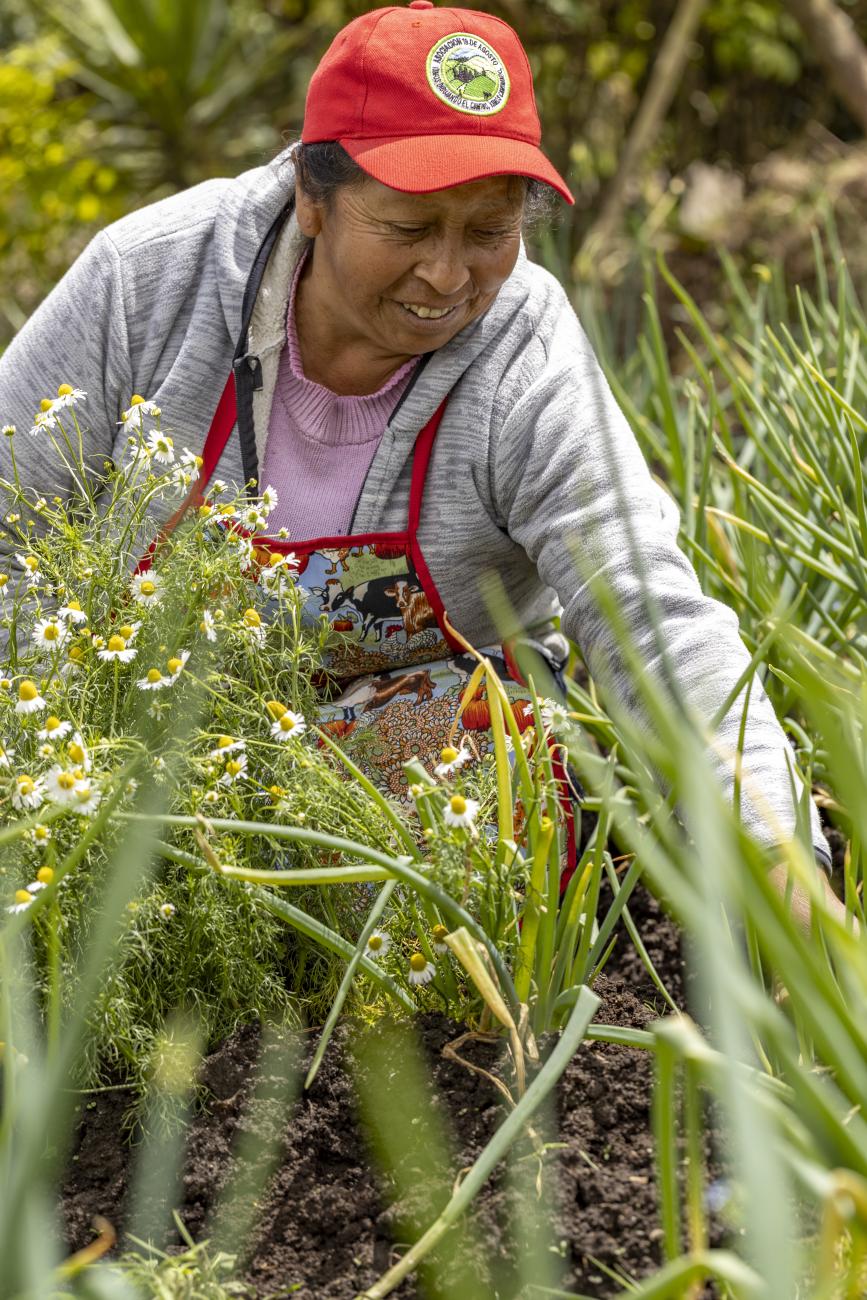 Mujer rural