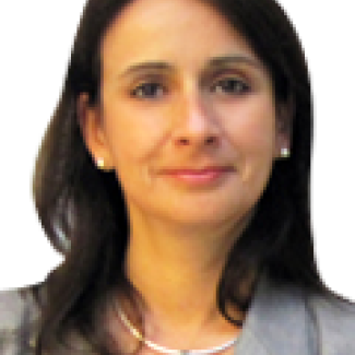 Chile: el despegue de las Energías Renovables No Convencionales