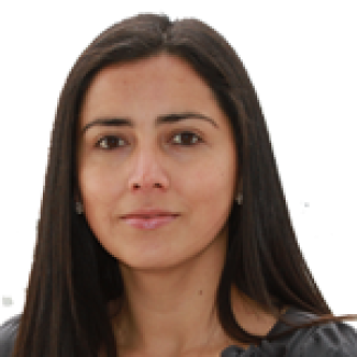 Diez años de emprendimiento en Chile: las brechas del sistema