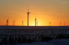 A wind farm shares space with corn fields the day before the Iowa caucuses.