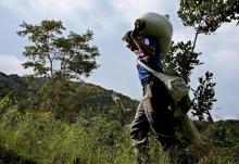 Agricultor de café en Colombia foto Xinhua