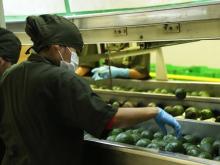 Alimentos en México foto Excelsior