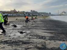 personas limpiando una playa